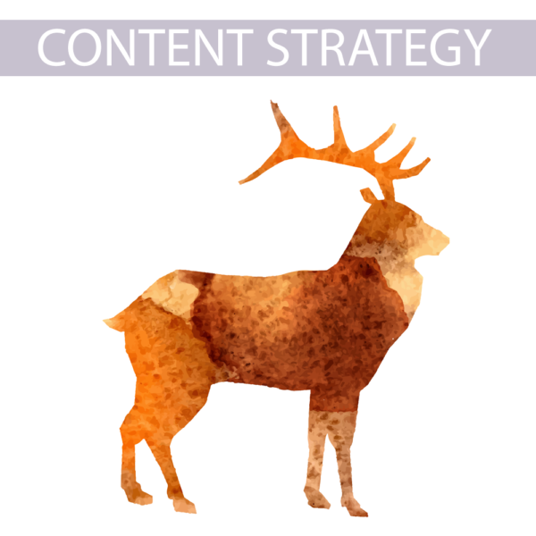 Ala Carte Content Strategy Service